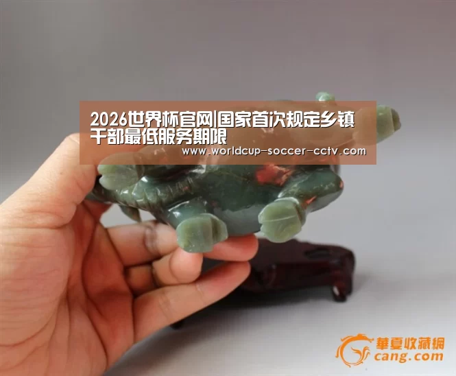 2026世界杯官网|国家首次规定乡镇干部最低服务期限(图3) 世界杯网站