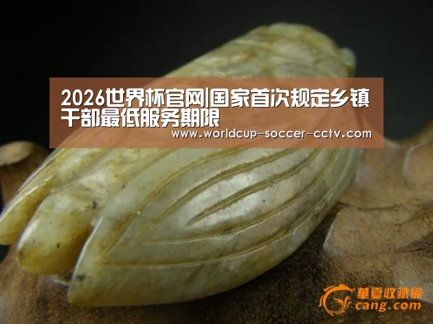 2026世界杯官网|国家首次规定乡镇干部最低服务期限(图4) 世界杯网站