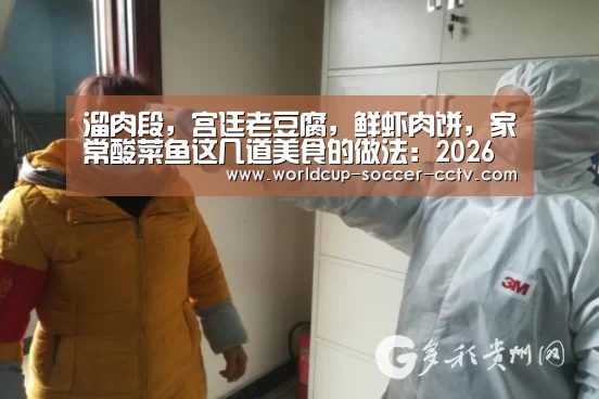 溜肉段,宫廷老豆腐,鲜虾肉饼,家常酸菜鱼这几道美食的做法:2026世界杯(图4) 2026世界杯