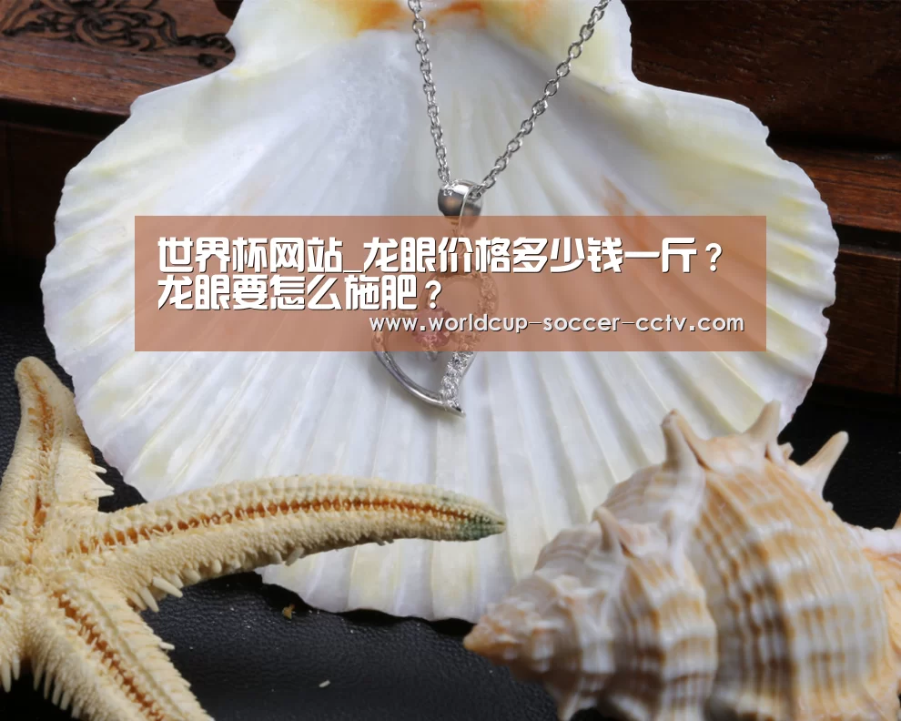 世界杯网站_龙眼价格多少钱一斤?龙眼要怎么施肥?(图3) 2026世界杯