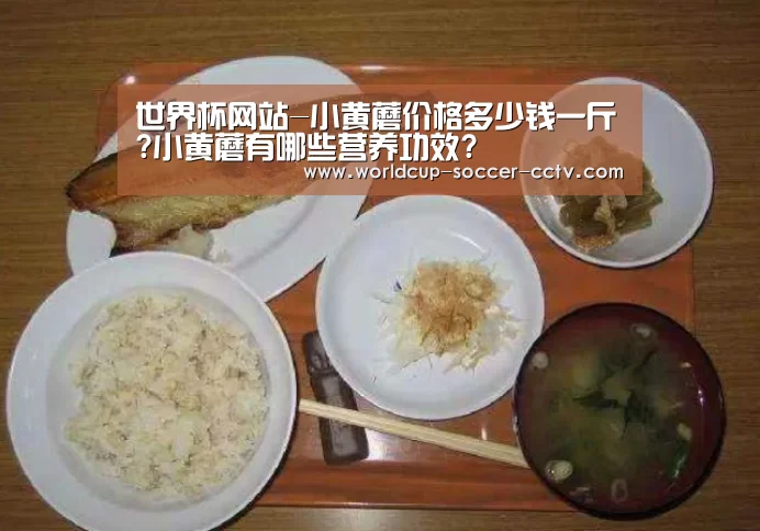 世界杯网站-小黄蘑价格多少钱一斤?小黄蘑有哪些营养功效?(图2) 世界杯网站