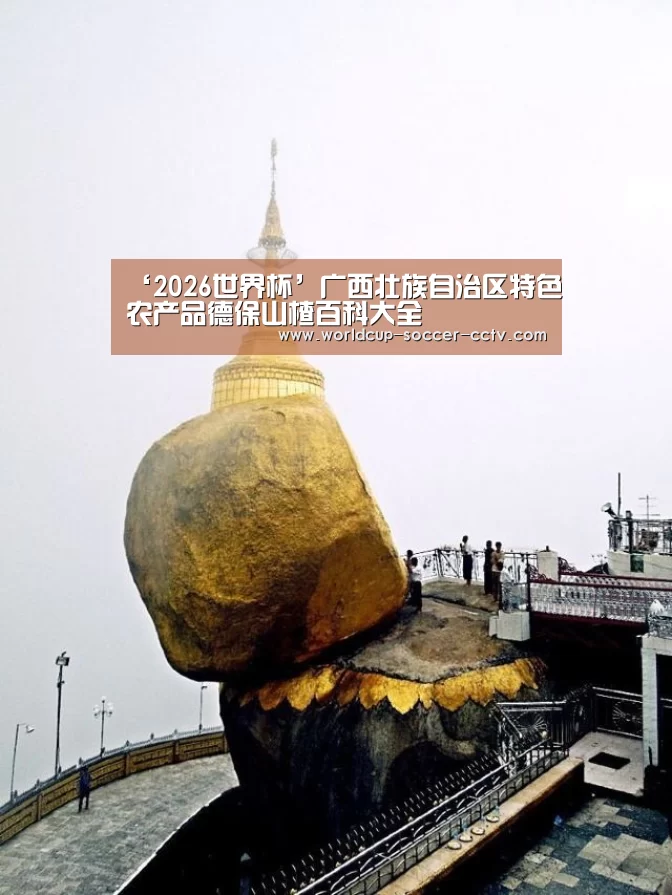 世界杯网站