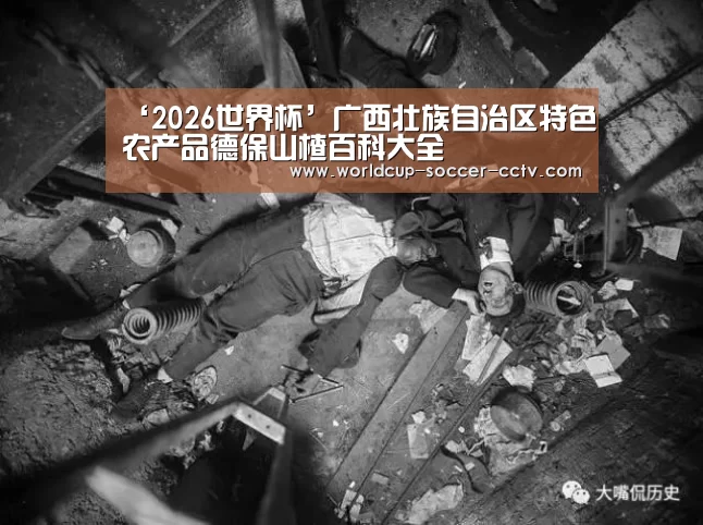 2026世界杯官网