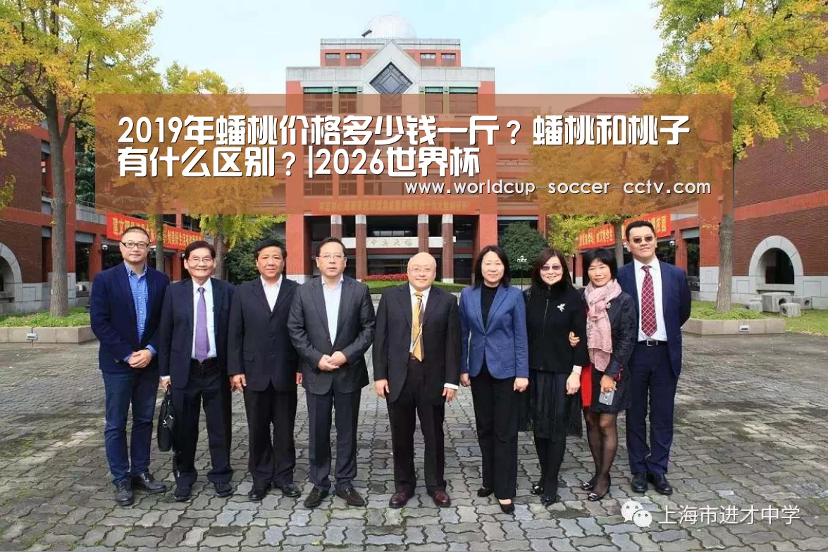 2019年蟠桃价格多少钱一斤?蟠桃和桃子有什么区别?|2026世界杯(图2) 2026世界杯官网